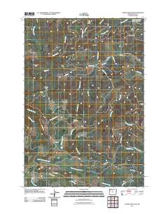 Laurel Mountain 2011 topographic map thumbnail