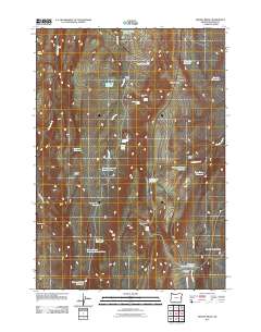 Keeney Ridge 2011 topographic map thumbnail