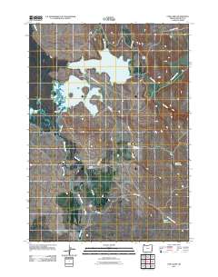 Cow Lakes 2011 topographic map thumbnail