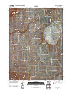 Flook Lake 2011 topographic map thumbnail