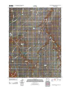 Grasshopper Flat South 2011 topographic map thumbnail