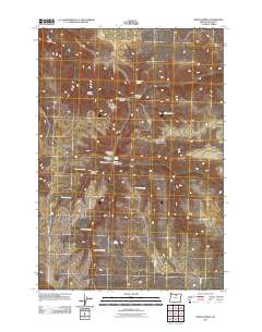 Indian Spring 2011 topographic map thumbnail