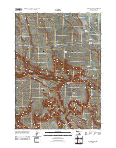 Clover Swale 2011 topographic map thumbnail