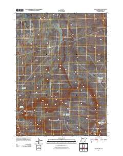 Fish Fin Rim 2011 topographic map thumbnail