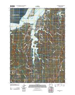 Charleston 2011 topographic map thumbnail