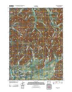 Holland 2011 topographic map thumbnail