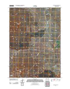 Jacks Place 2011 topographic map thumbnail