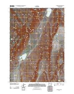 Juniper Lake 2011 topographic map thumbnail