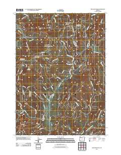 King Mountain 2011 topographic map thumbnail