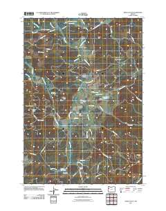 Kings Valley 2011 topographic map thumbnail