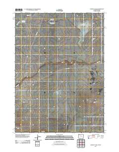 Lookout Lake 2011 topographic map thumbnail