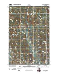Meacham Corner 2011 topographic map thumbnail