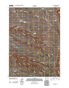 McCoy Ridge 2011 topographic map thumbnail
