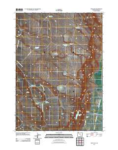 Irish Lake 2011 topographic map thumbnail
