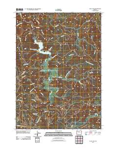 Loon Lake 2011 topographic map thumbnail