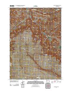 Rodman Rim 2011 topographic map thumbnail