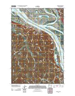 Rainier 2011 topographic map thumbnail
