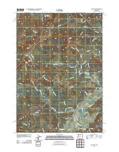 Mohawk 2011 topographic map thumbnail