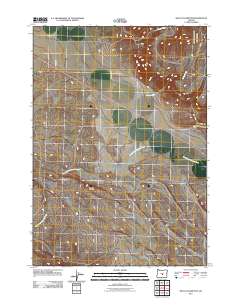 West of Hampton 2011 topographic map thumbnail