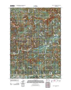 Mill City North 2011 topographic map thumbnail