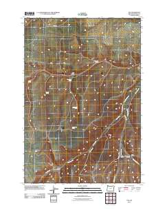 Nye 2011 topographic map thumbnail