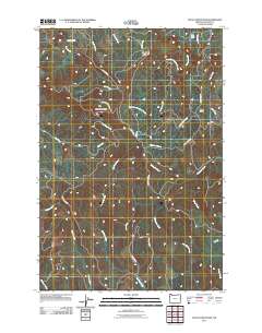Nicolai Mountain 2011 topographic map thumbnail