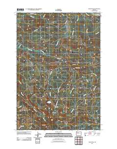 Snow Peak 2011 topographic map thumbnail