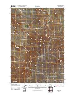 Shaniko 2011 topographic map thumbnail