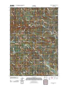 Turner Creek 2011 topographic map thumbnail
