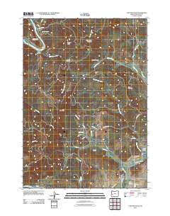 Tyee Mountain 2011 topographic map thumbnail