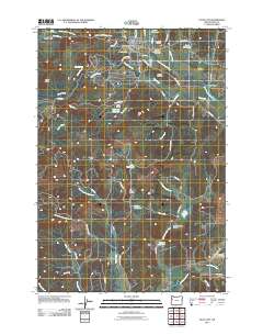 Falls City 2011 topographic map thumbnail