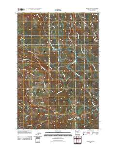 Baker Point 2011 topographic map thumbnail