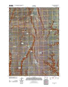 Balls Lake 2011 topographic map thumbnail