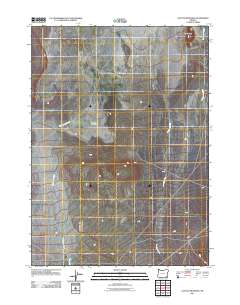 Coyote Meadows 2011 topographic map thumbnail