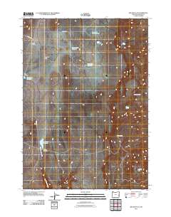Big Mud Flat 2011 topographic map thumbnail