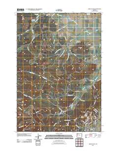 Airlie South 2011 topographic map thumbnail