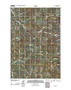 Bacona 2011 topographic map thumbnail