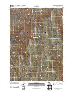 Coleman Mountain 2011 topographic map thumbnail
