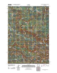 Chandler Mountain 2011 topographic map thumbnail