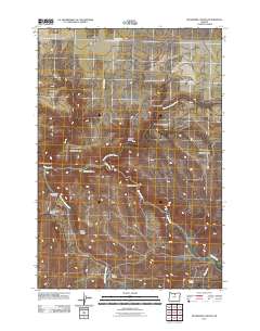 Buckhorn Canyon 2011 topographic map thumbnail