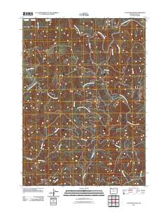 Coos Mountain 2011 topographic map thumbnail