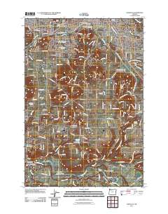 Damascus 2011 topographic map thumbnail