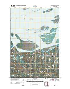 Cathlamet Bay 2011 topographic map thumbnail