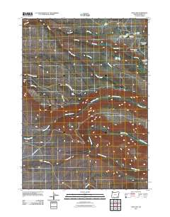 Fish Lake 2011 topographic map thumbnail