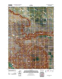 Dog Mountain 2011 topographic map thumbnail