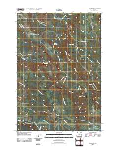 Elk Prairie 2011 topographic map thumbnail