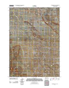 Dickerson Flat 2011 topographic map thumbnail