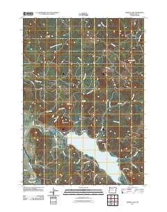 Dorena Lake 2011 topographic map thumbnail