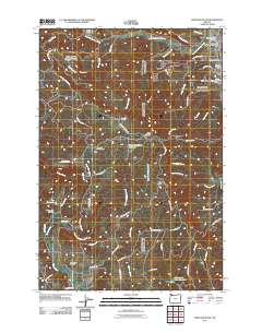 Dixie Mountain 2011 topographic map thumbnail