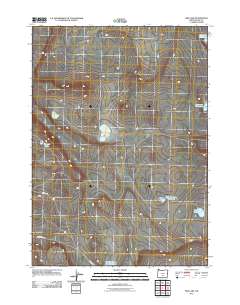 Fire Lake 2011 topographic map thumbnail